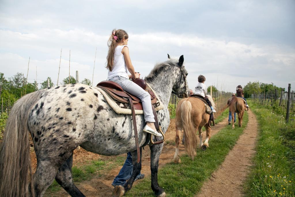 Cascina Papa Mora Villa Cellarengo Bagian luar foto